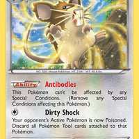 Raticate