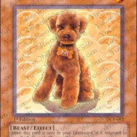 Outstanding Dog Marron
