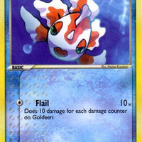Goldeen