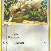 Zigzagoon