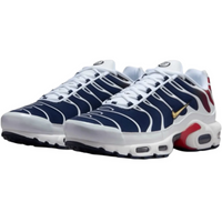 Nike Air Max Plus PSG