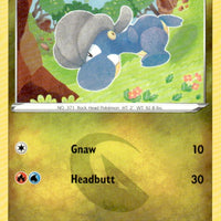 Bagon | Near Mint / English / Normal