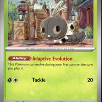Scatterbug | Near Mint / English / Normal