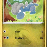 Bagon | Near Mint / English / Normal