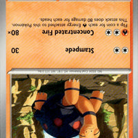 Torkoal | Near Mint / English / Normal