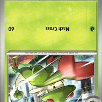 Breloom | Near Mint / English / Normal