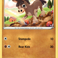 Mudbray | Near Mint / English / Normal