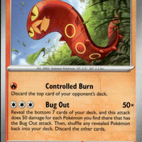 Sizzlipede | Near Mint / English / Normal