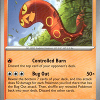 Sizzlipede | Near Mint / English / Normal