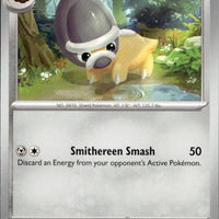 Shieldon | Near Mint / English / Normal