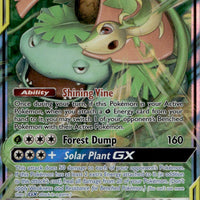 Venusaur & Snivy GX