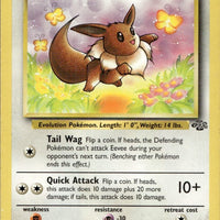 Eevee | Lightly Played / English / Unlimited