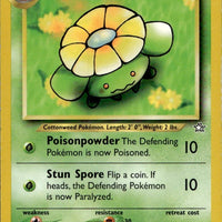 Skiploom