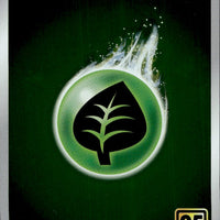 Grass Energy