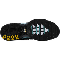 Nike Air Max Plus Aqua Blue