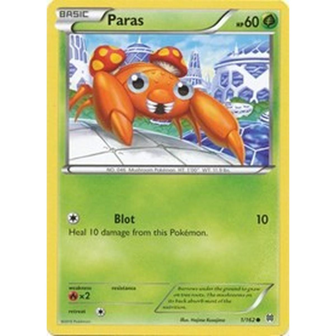 Paras