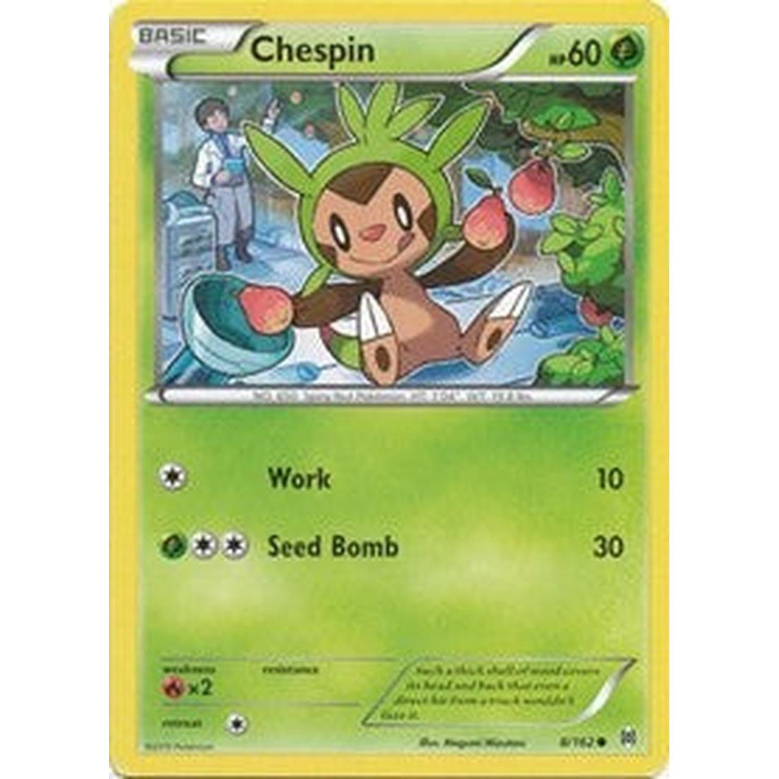 Chespin (8)