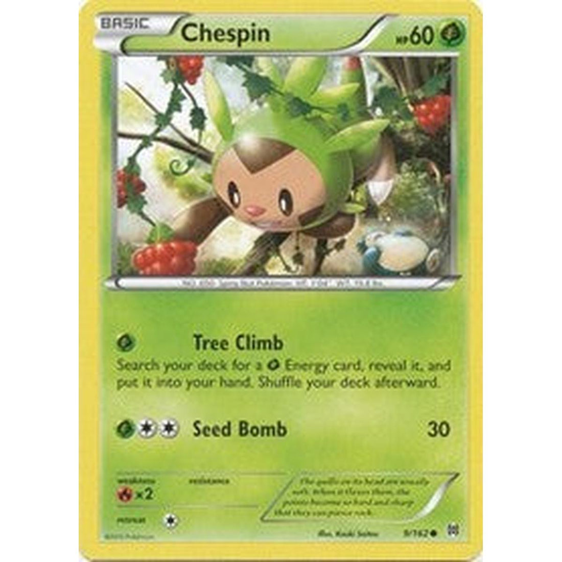 Chespin (9)