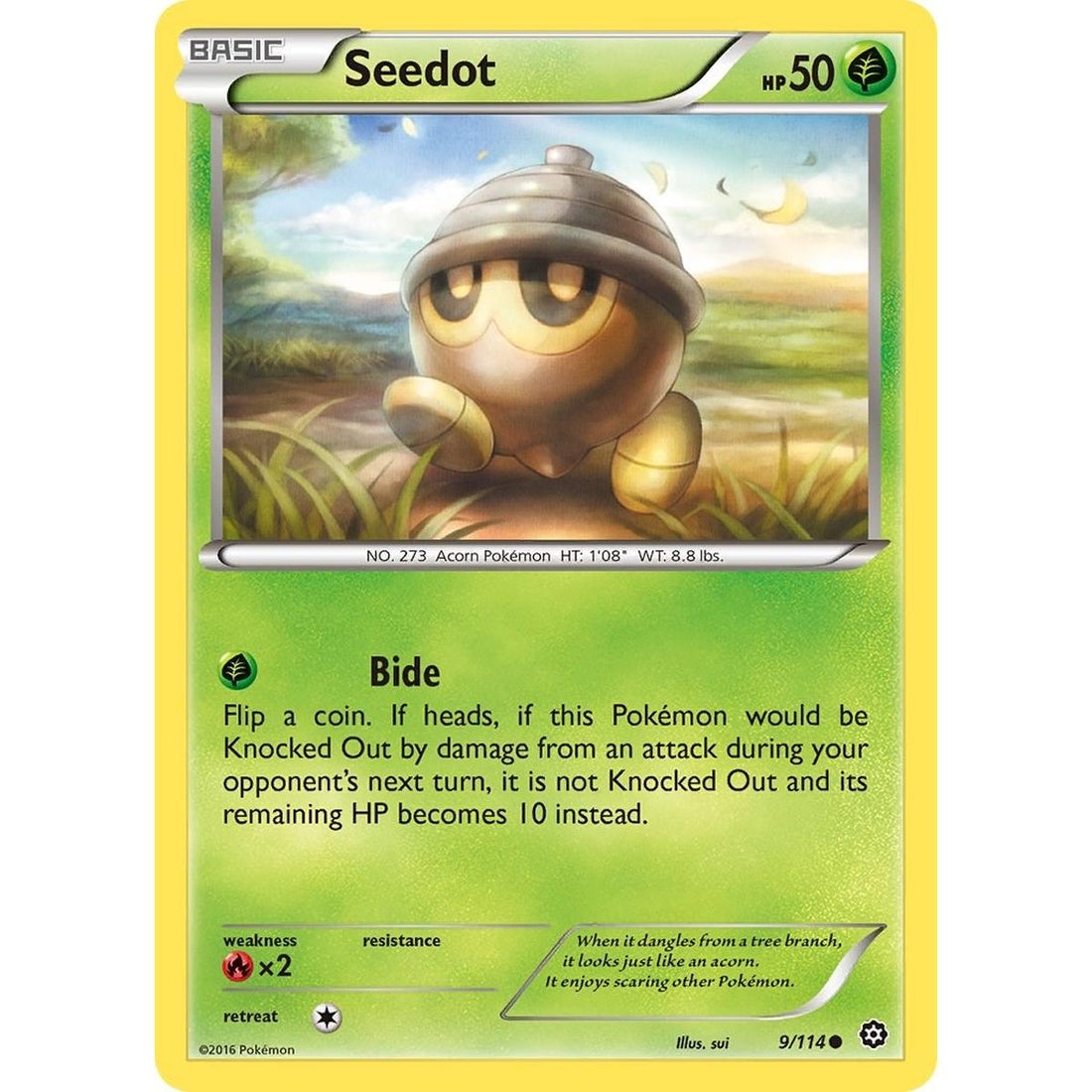 Seedot