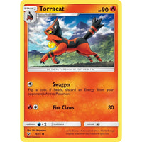 Torracat