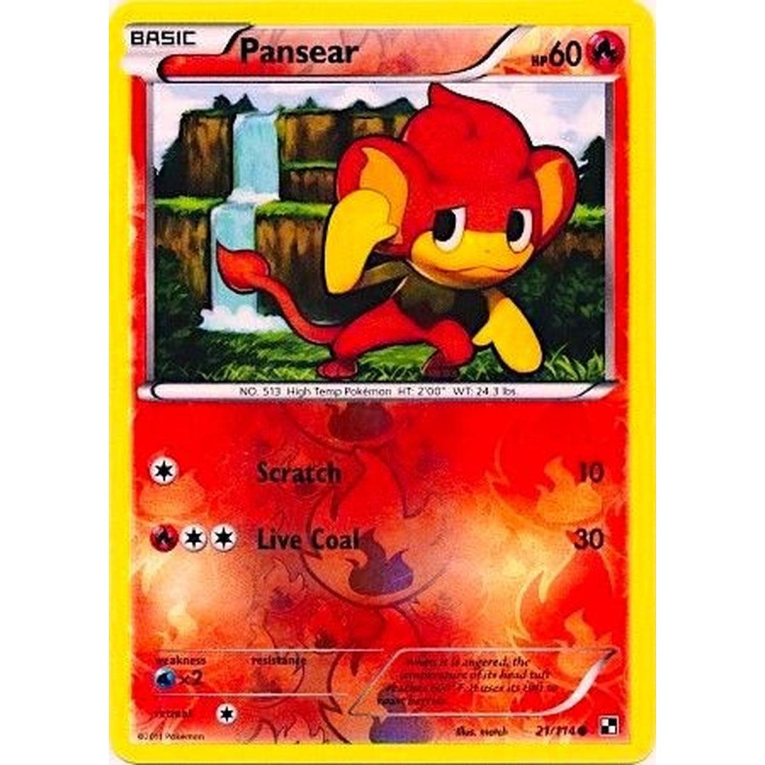 Pansear - 21/114 (Energy Holo)