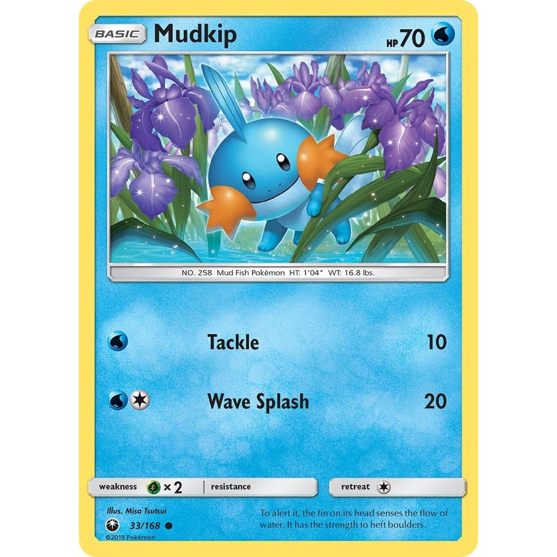 Mudkip (33)