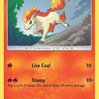 Ponyta