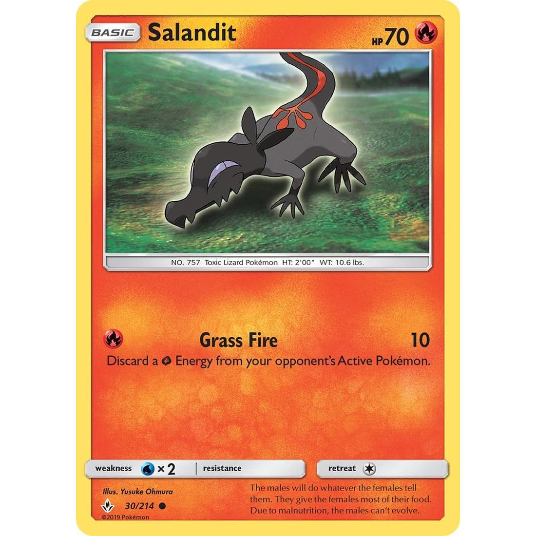 Salandit