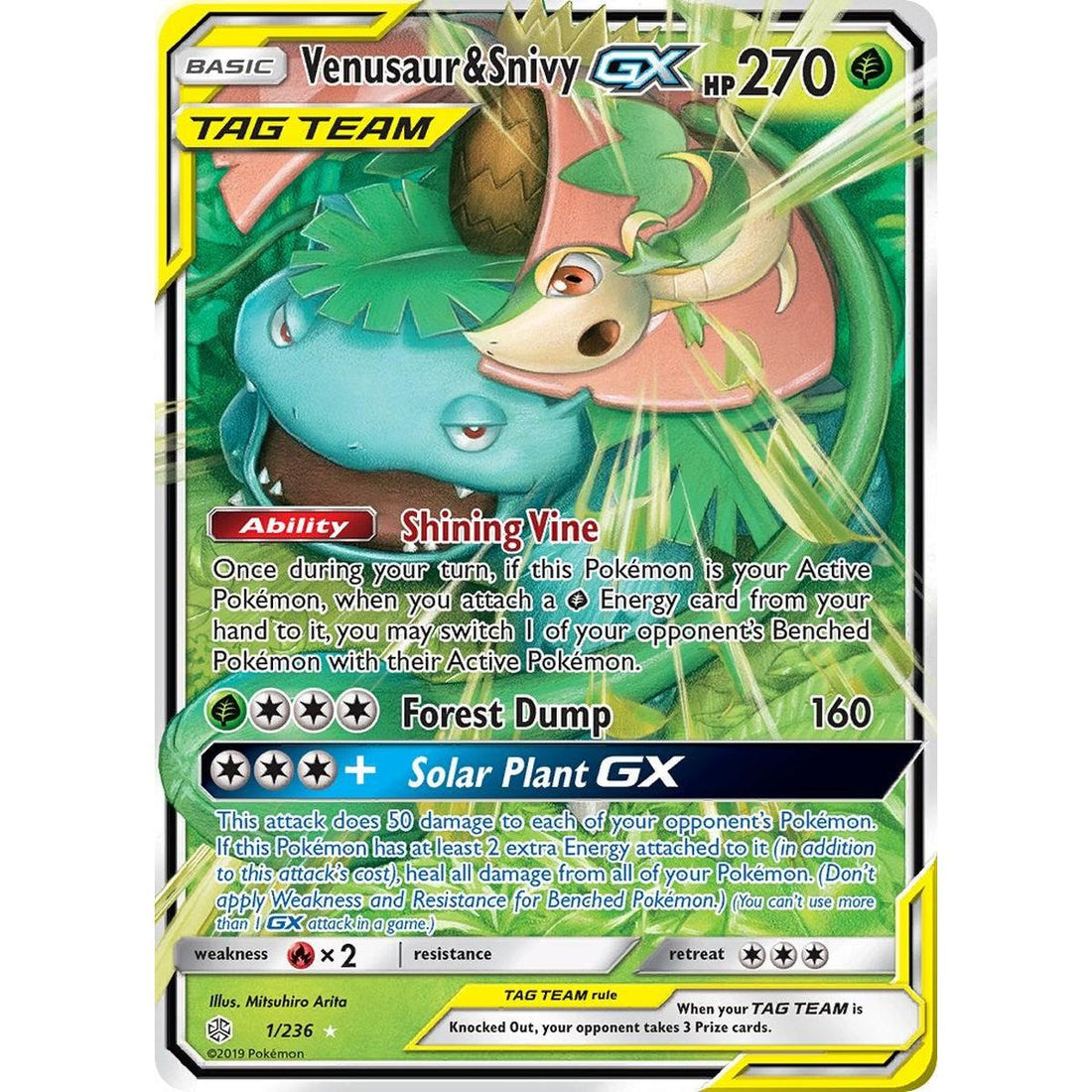 Venusaur & Snivy GX