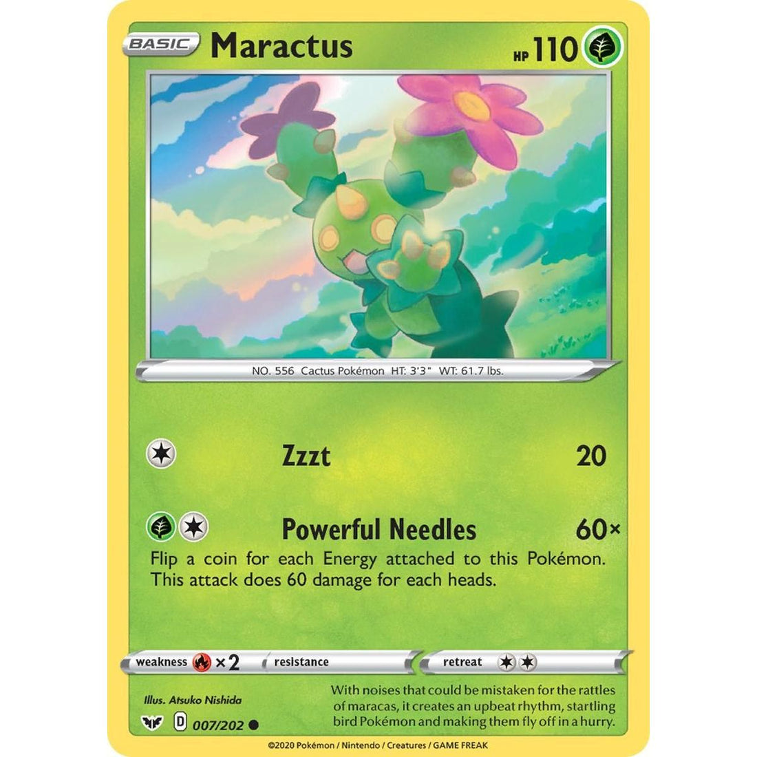 Maractus