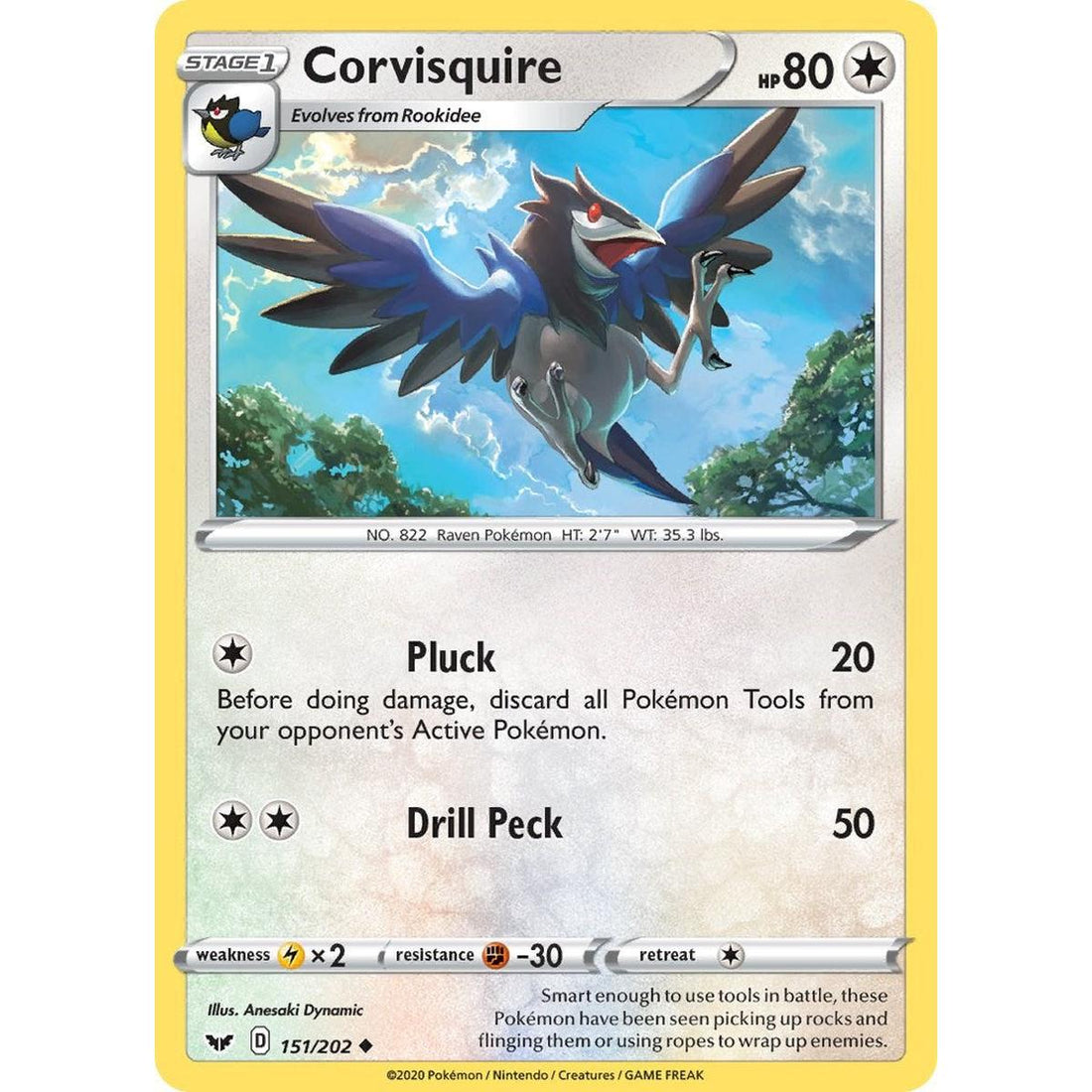 Corvisquire
