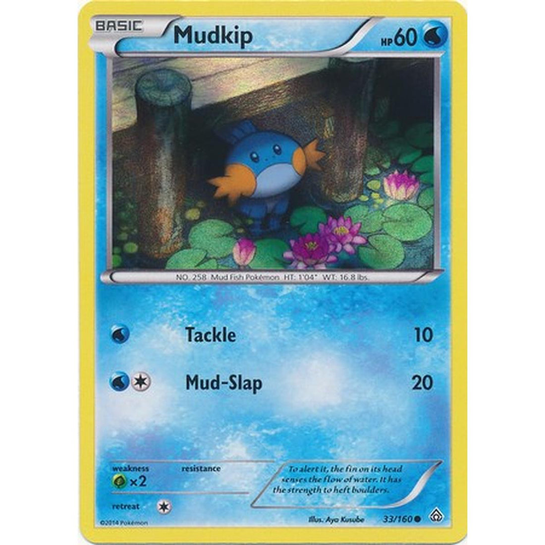 Mudkip - 33/160 (Sheen Holo)