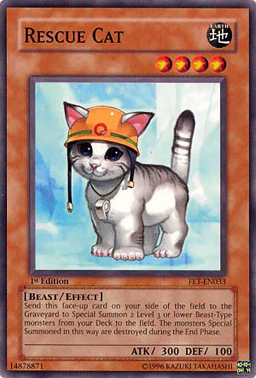 Rescue Cat