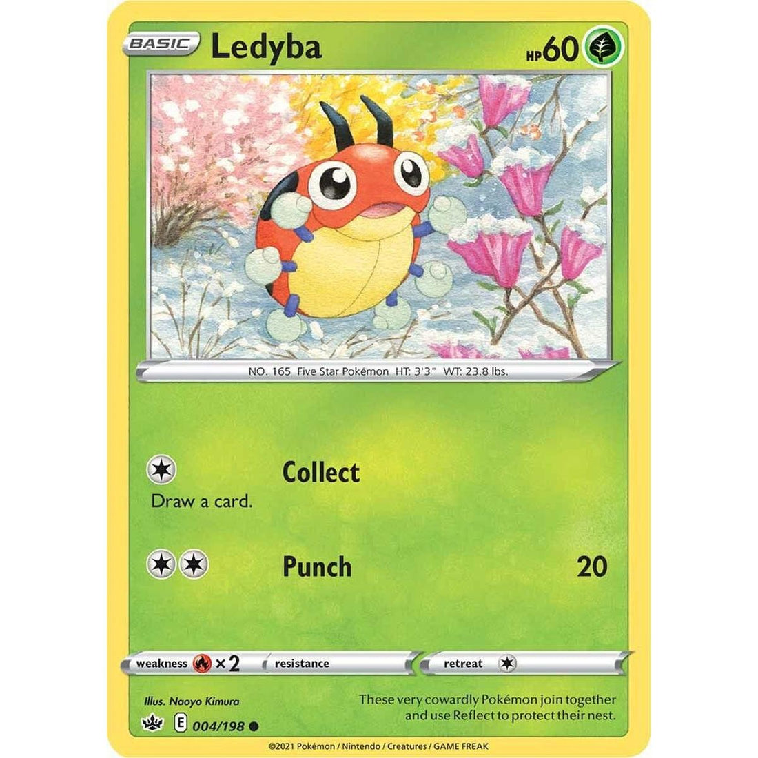 Ledyba
