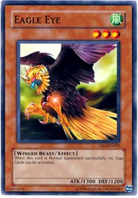 Eagle Eye