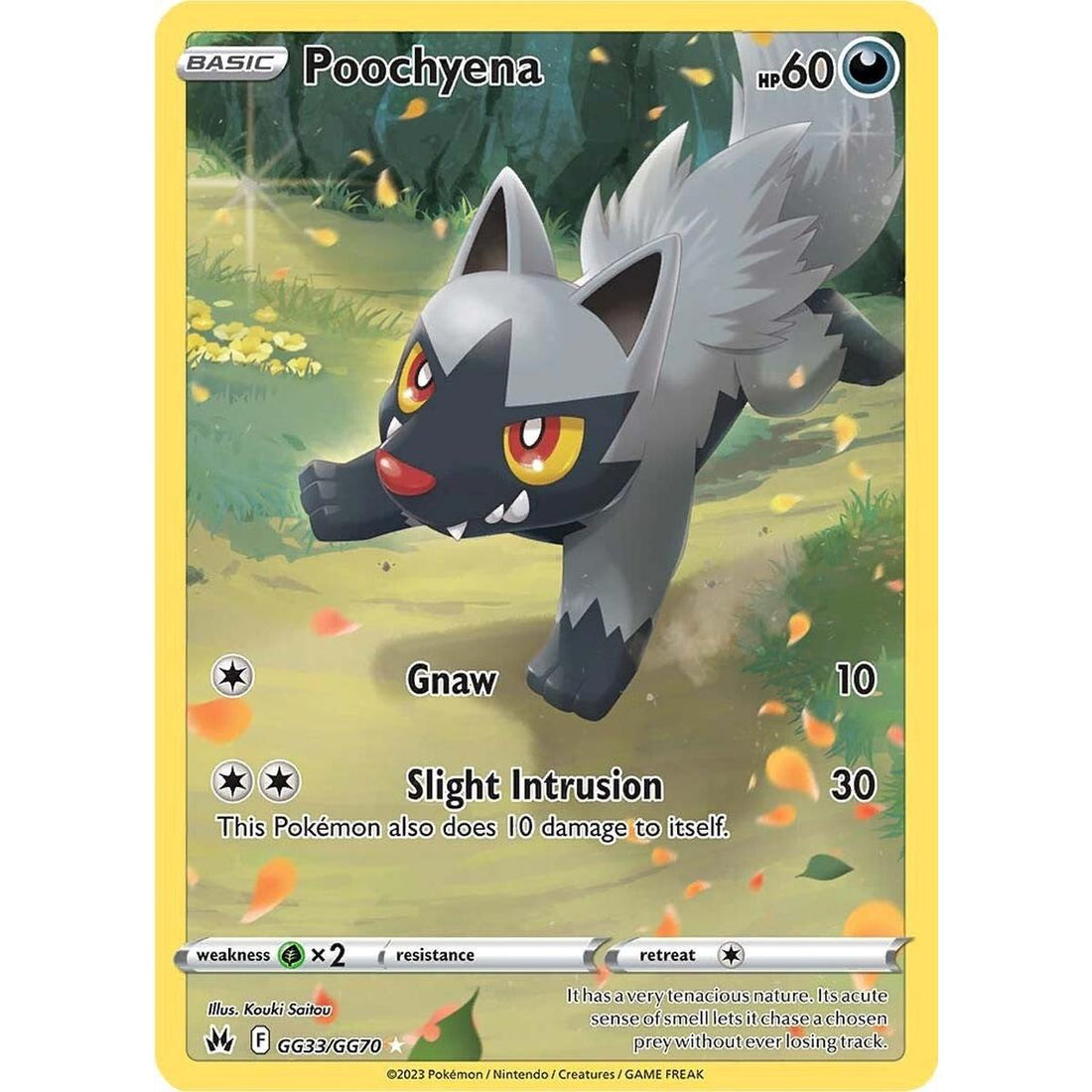 Poochyena