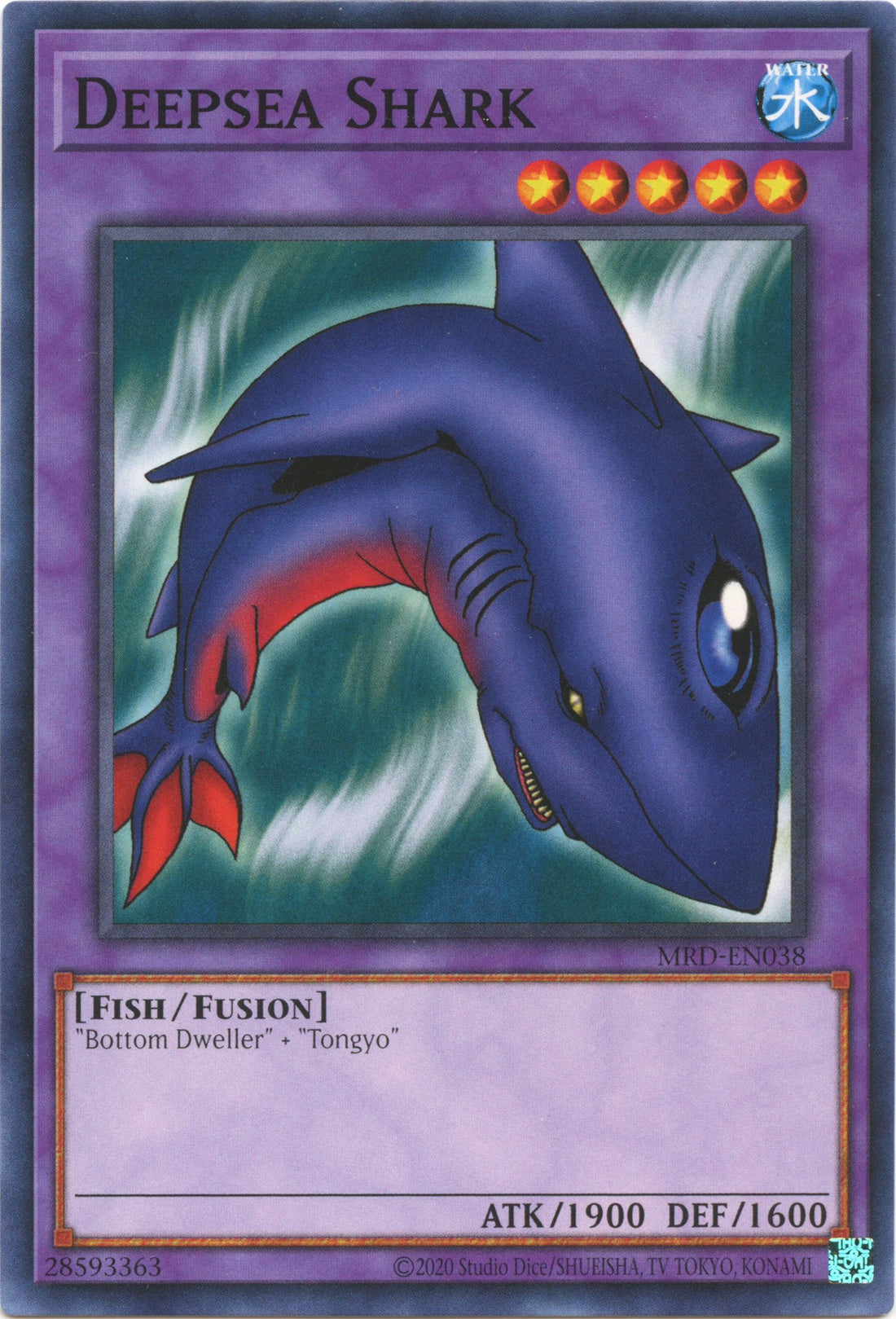 Deepsea Shark
