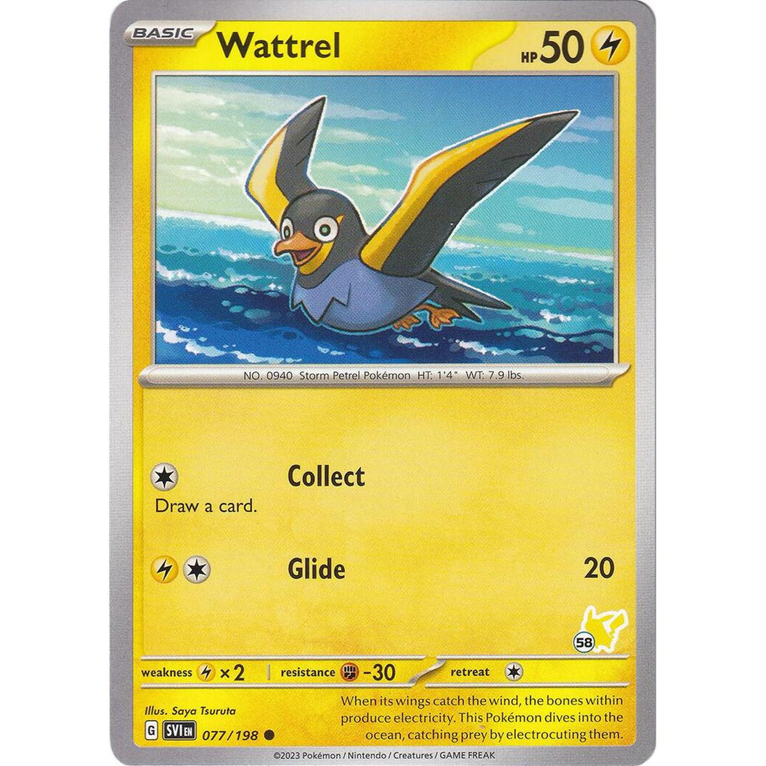 Wattrel - Pikachu 58