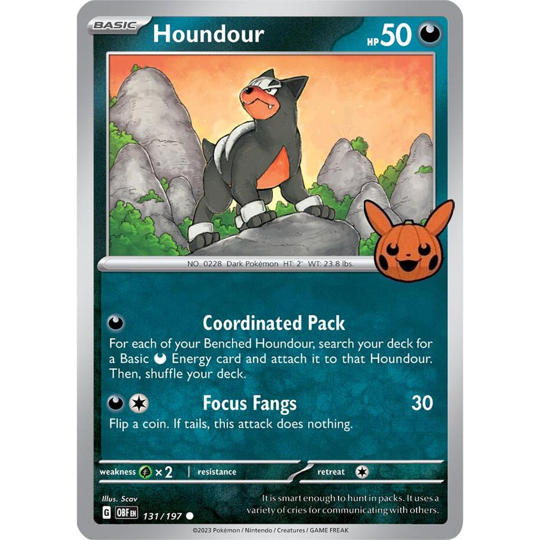 Houndour - 131/197