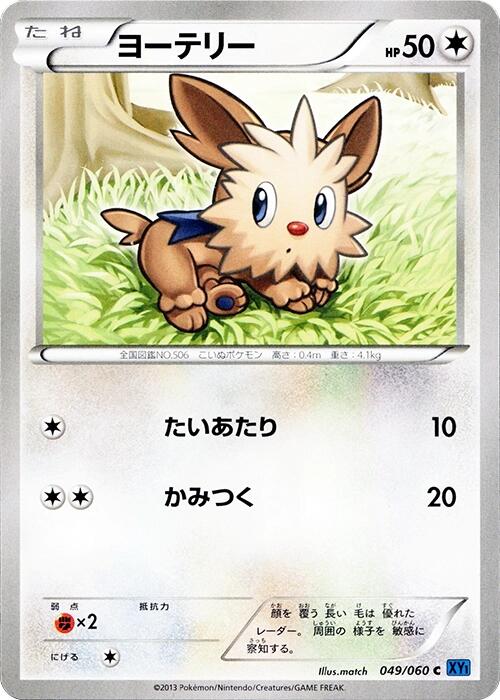 Lillipup