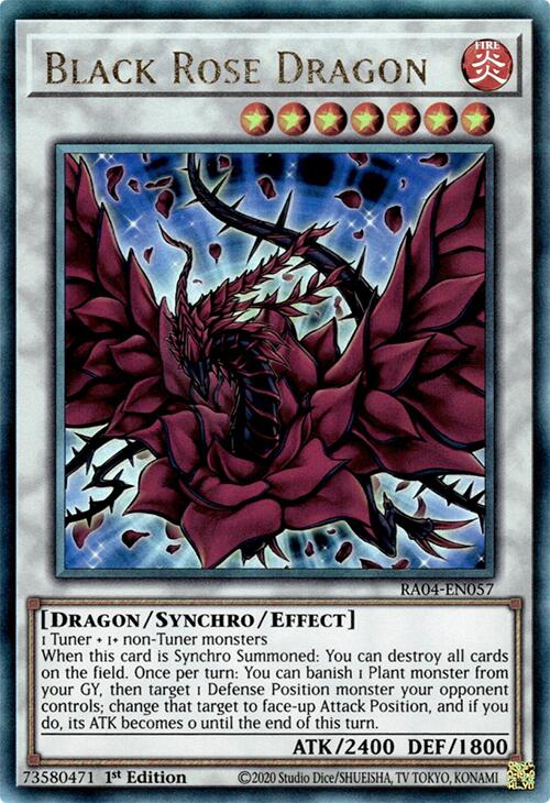 Black Rose Dragon (PUR)
