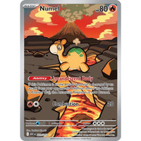 Numel - 223/217