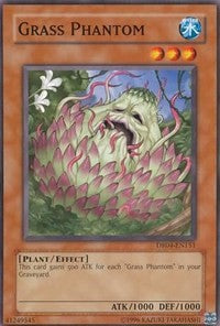 Grass Phantom