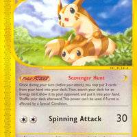 Furret