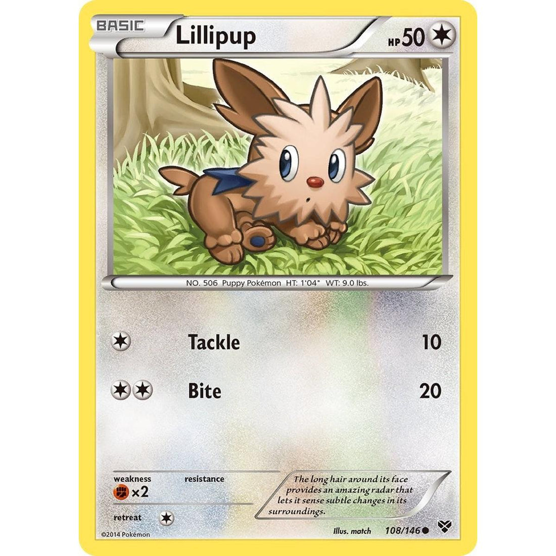 Lillipup