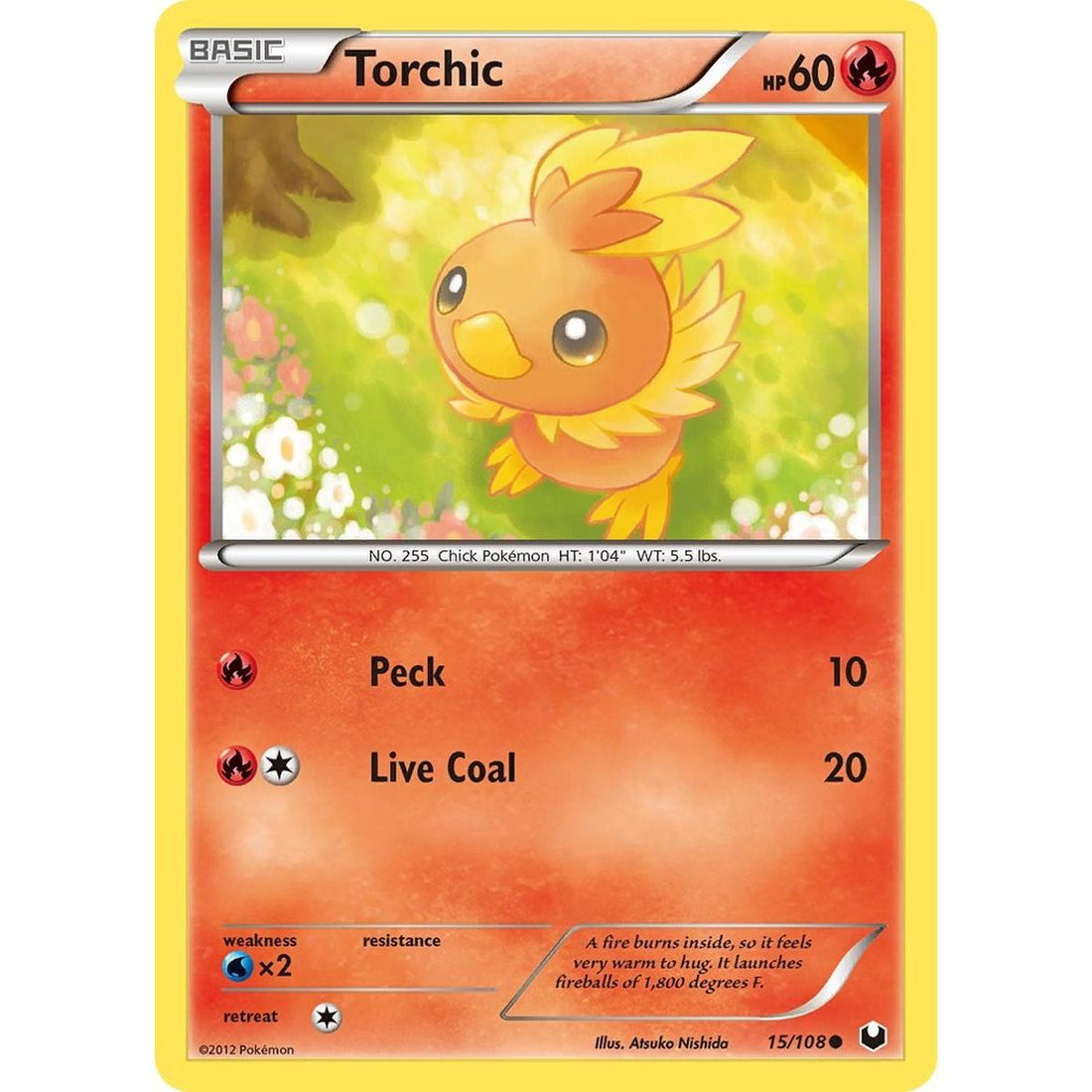 Torchic (15)