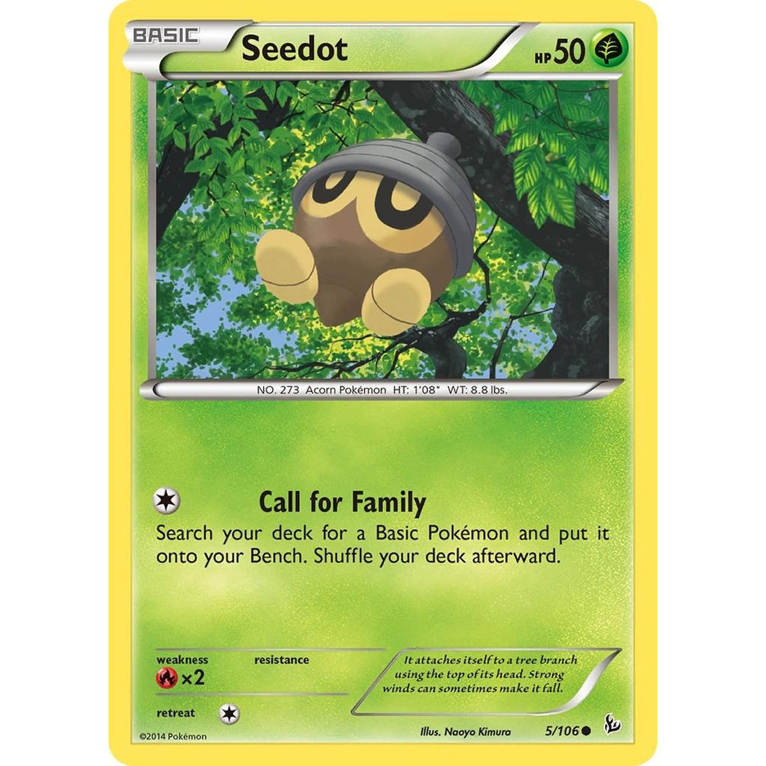 Seedot