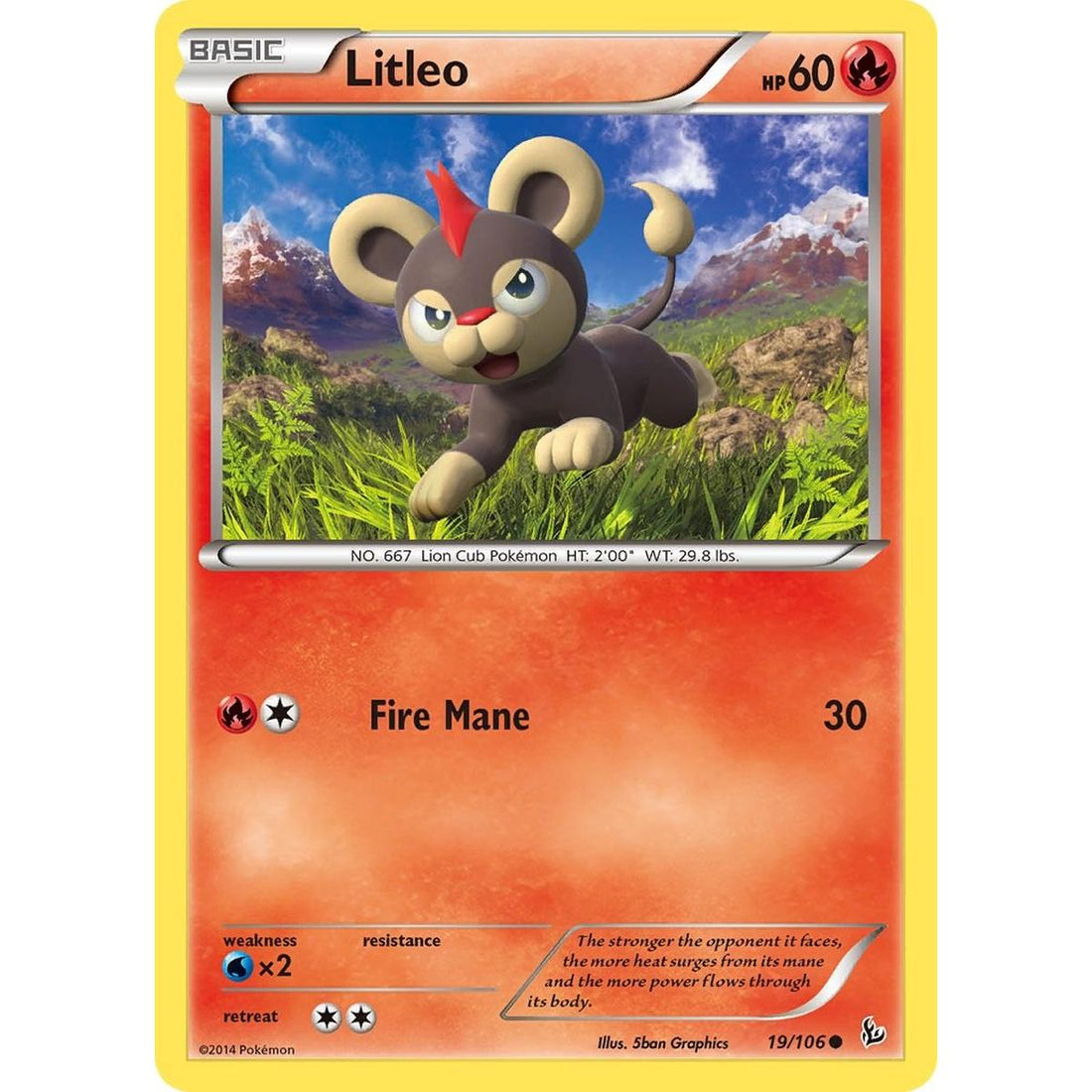 Litleo (19)