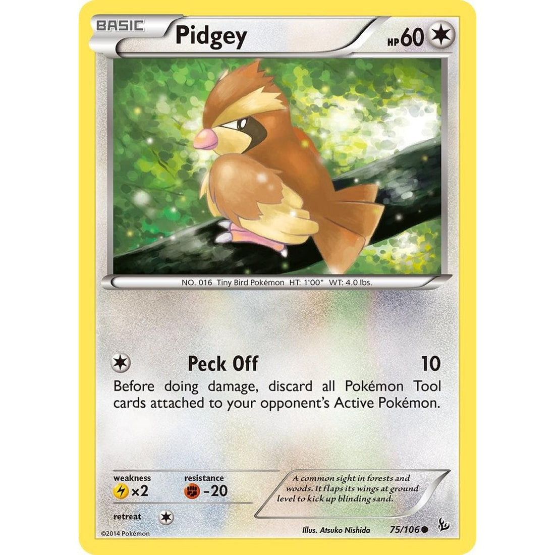 Pidgey