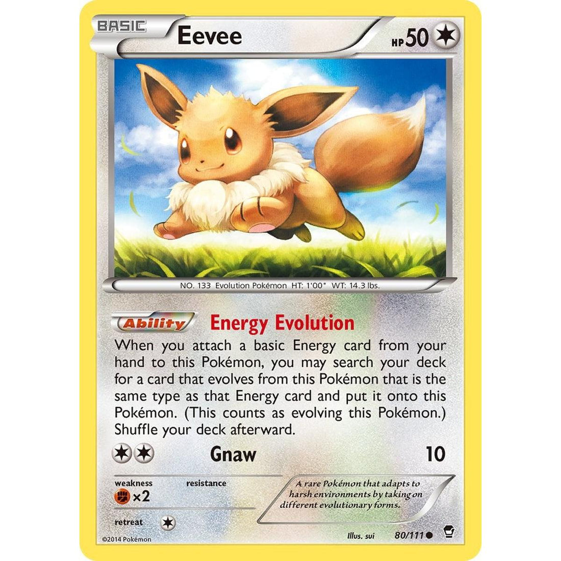 Eevee